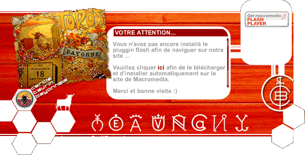 Vous n'avez pas le pluggin flash